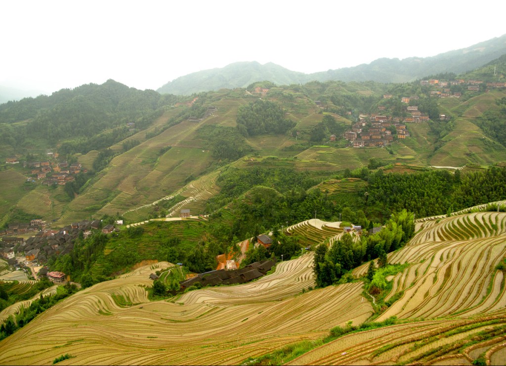 Tour privado a las terrazas de arroz de Longji